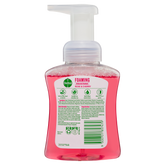Dettol Foam HWash RoseChry Pmp250ml